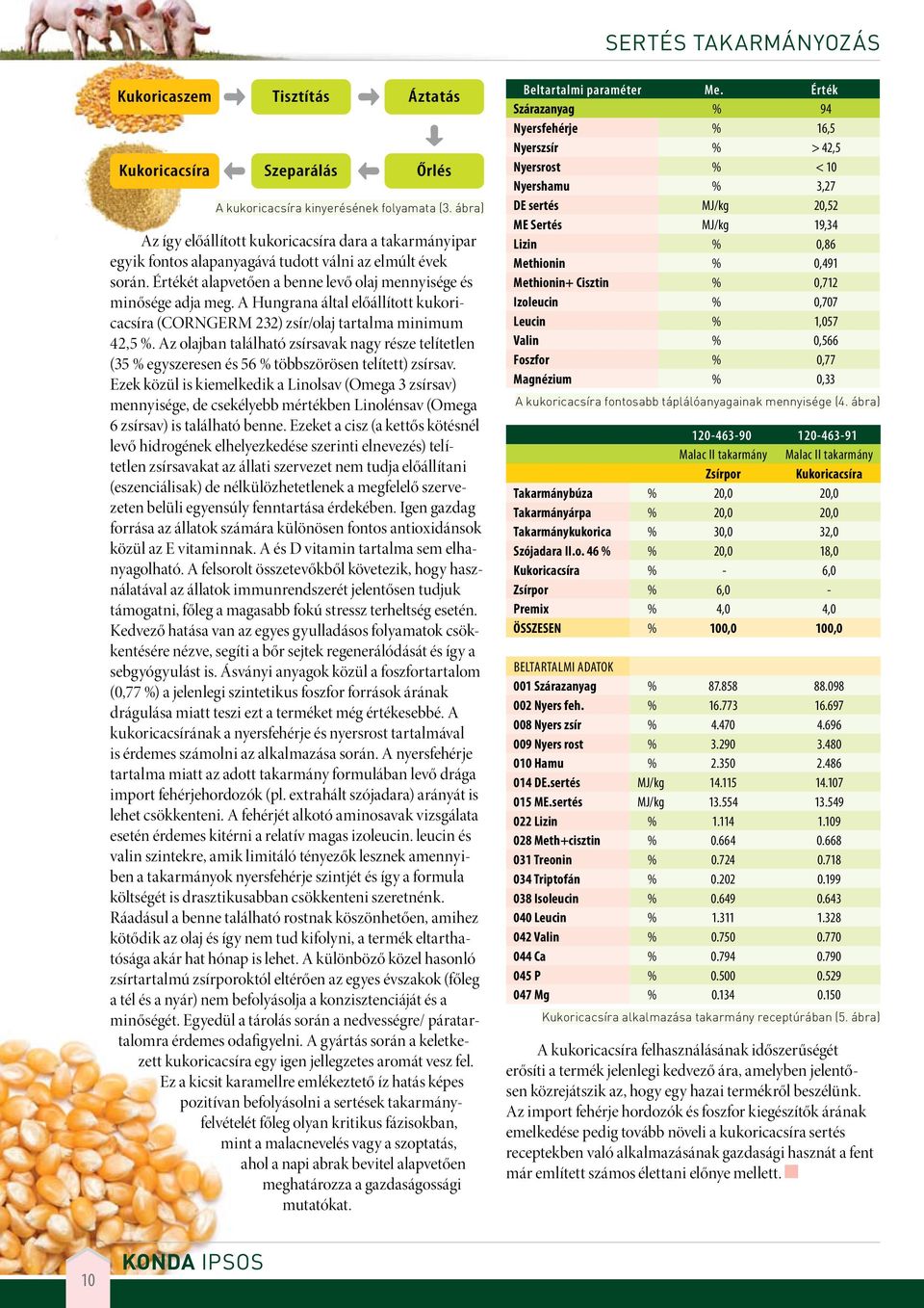 A Hungrana által előállított kukoricacsíra (CORNGERM 232) zsír/olaj tartalma minimum 42,5 %.