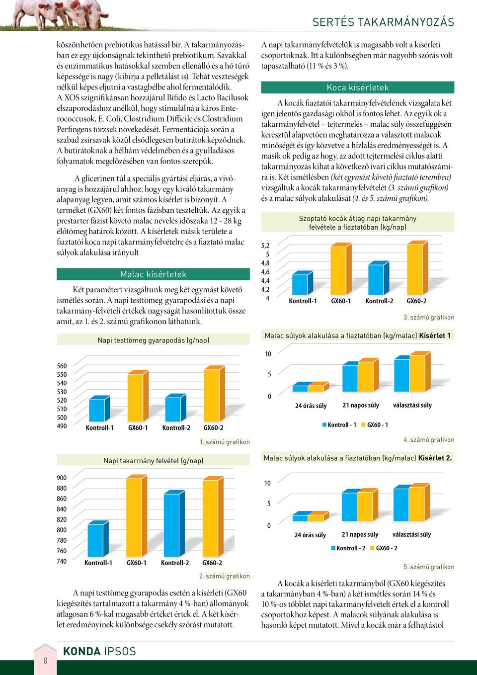 A XOS szignifikánsan hozzájárul Bifido és Lacto Bacilusok elszaporodáshoz anélkül, hogy stimulálná a káros Enterococcusok, E. Coli, Clostridium Difficile és Clostridium Perfingens törzsek növekedését.