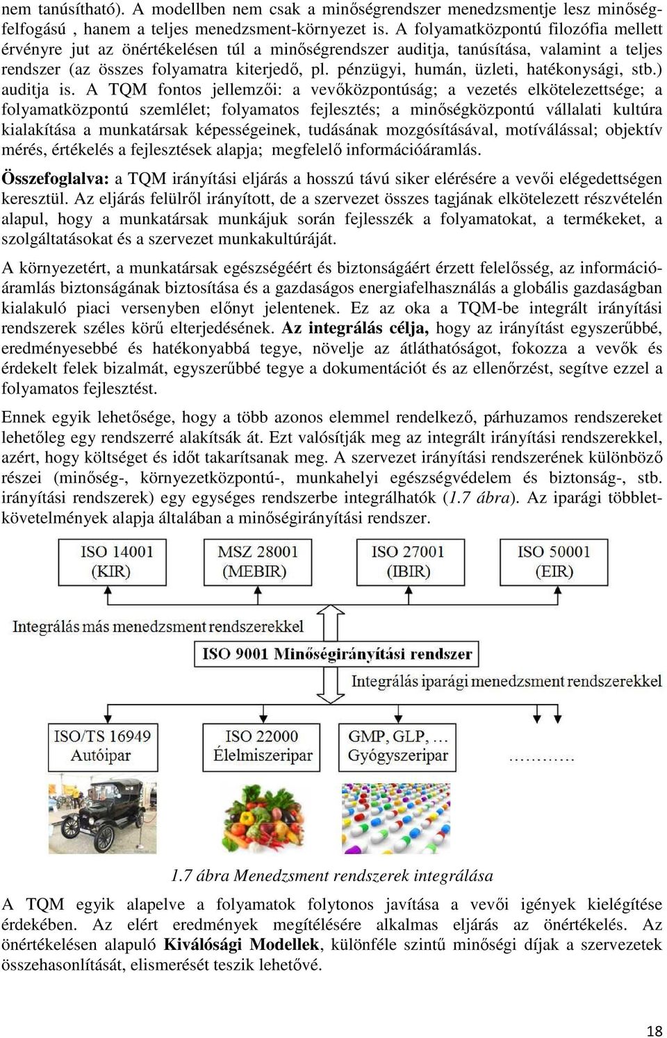 pénzügyi, humán, üzleti, hatékonysági, stb.) auditja is.