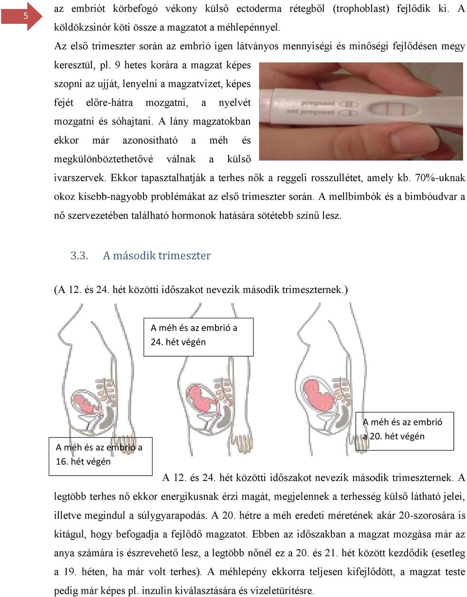 9 hetes korára a magzat képes szopni az ujját, lenyelni a magzatvizet, képes fejét előre-hátra mozgatni, a nyelvét mozgatni és sóhajtani.