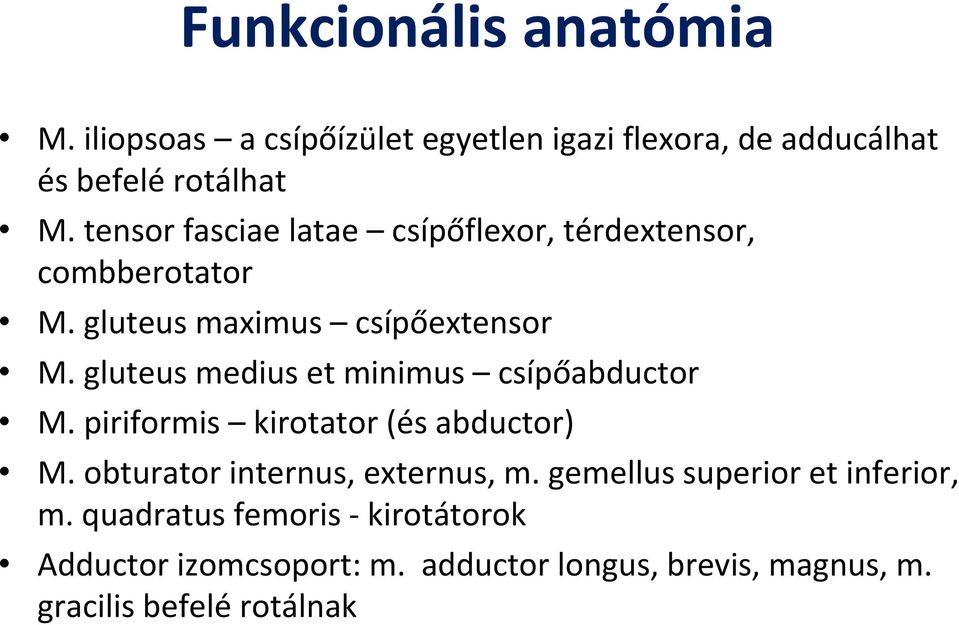 gluteus medius et minimus csípőabductor M. piriformis kirotator (és abductor) M. obturator internus, externus, m.