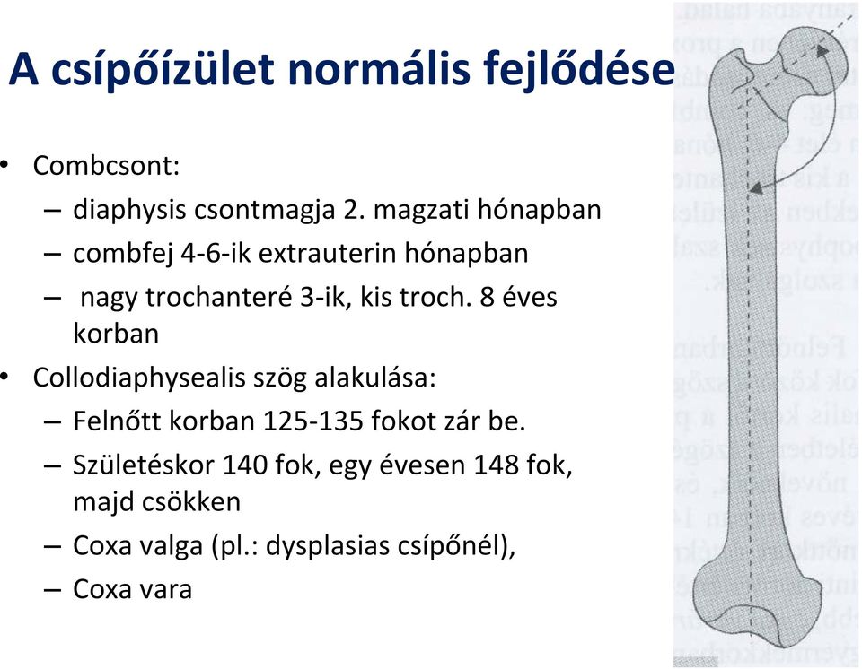 8 éves korban Collodiaphysealis szög alakulása: Felnőtt korban 125-135 fokot zár be.