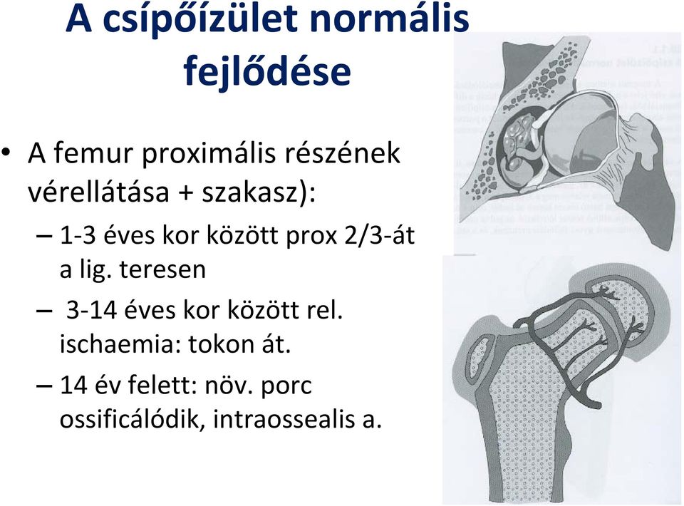 2/3-át a lig. teresen 3-14 éves kor között rel.