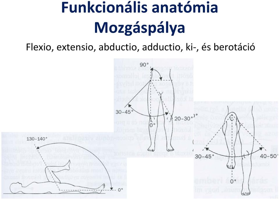 extensio, abductio,