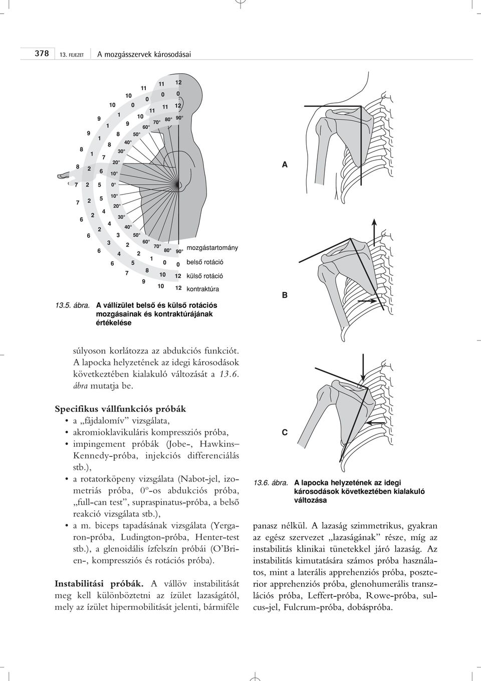 Specifikus vállfunkciós próbák a fájdalomív vizsgálata, akromioklavikuláris kompressziós próba, impingement próbák (Jobe-, Hawkins Kennedy-próba, injekciós differenciálás stb.