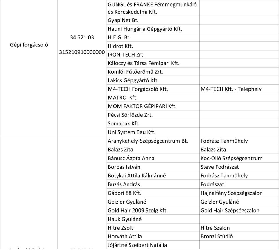 Uni System Bau Kft. Aranykehely-Szépségcentrum Bt. Balázs Zita Bánusz Ágota Anna Borbás István Botykai Attila Kálmánné Buzás András Gádori 88 Kft. Geizler Gyuláné Gold Hair 2009 Szolg Kft.