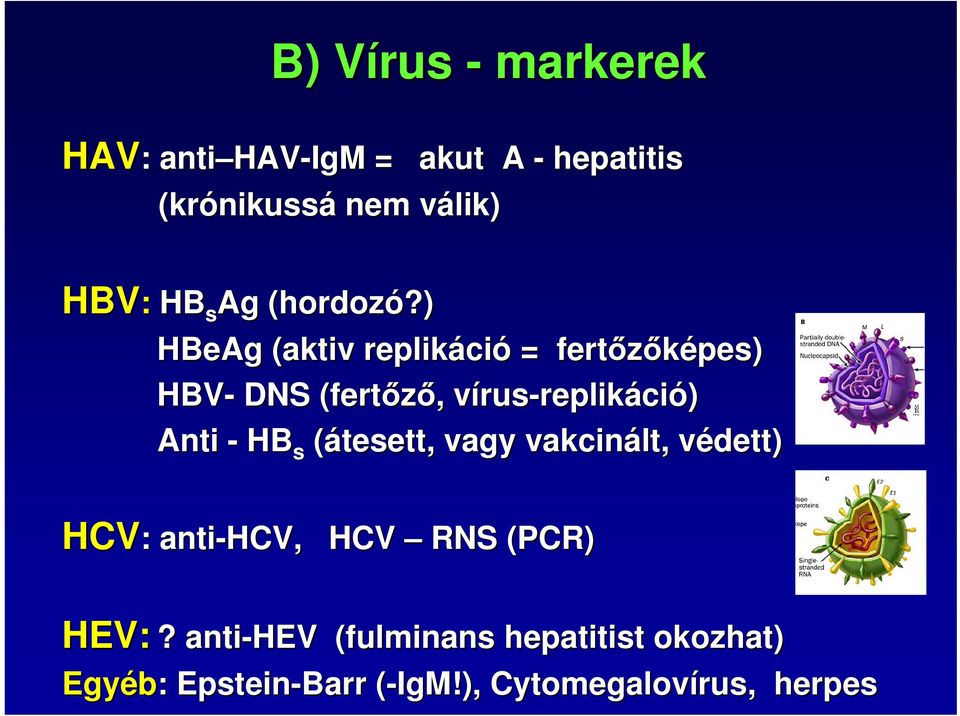) HBeAg (aktiv replikáci ció = fertőzőképes) HBV- DNS (fertőző, vírus-replikáció) Anti - HB s
