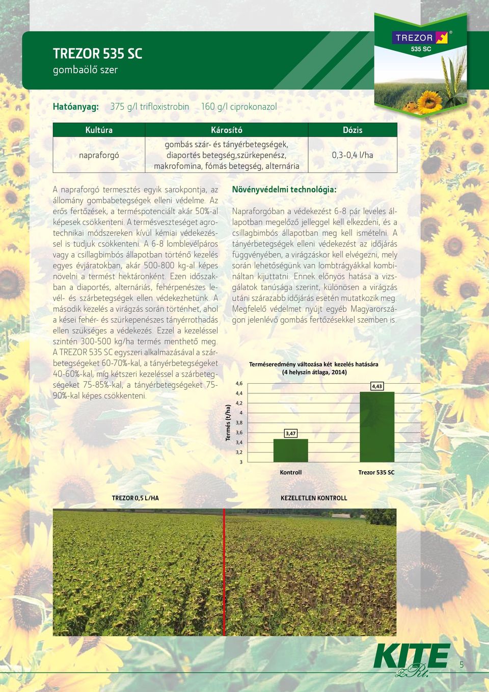 Az erős fertőzések, a terméspotenciált akár 50%-al képesek csökkenteni. A termésveszteséget agrotechnikai módszereken kívül kémiai védekezéssel is tudjuk csökkenteni.