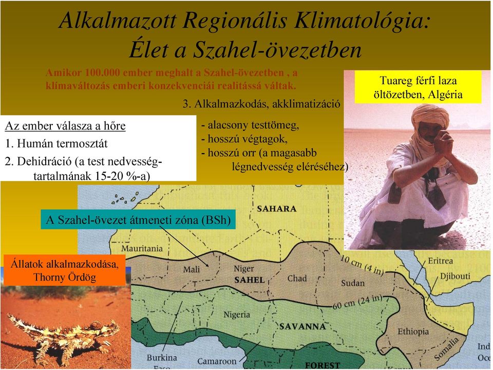 Alkalmazkodás, akklimatizáció Tuareg férfi laza öltözetben, Algéria Az ember válasza a hőre 1. Humán termosztát 2.