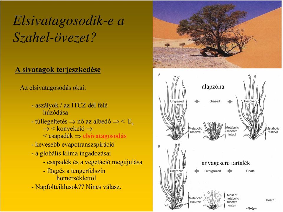 túllegeltetés nő az albedó <E s < konvekció < csapadék elsivatagosodás - kevesebb