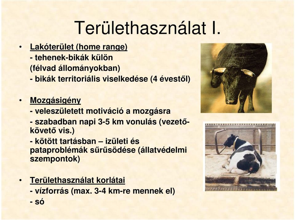 viselkedése (4 évestıl) Mozgásigény - veleszületett motiváció a mozgásra - szabadban napi 3-5 km