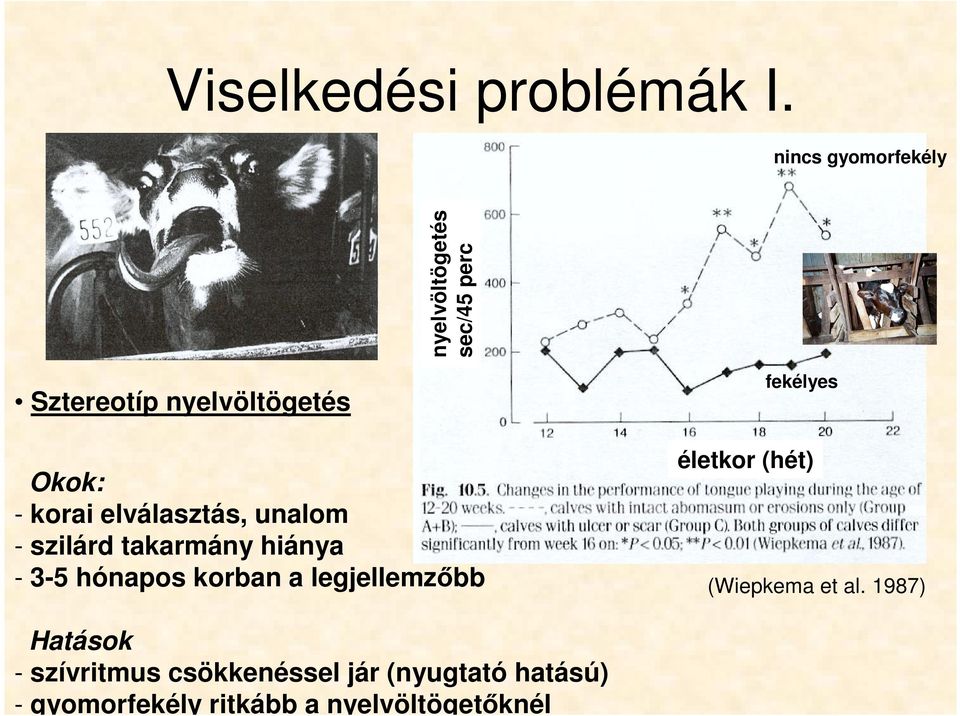 korai elválasztás, unalom - szilárd takarmány hiánya - 3-5 hónapos korban a