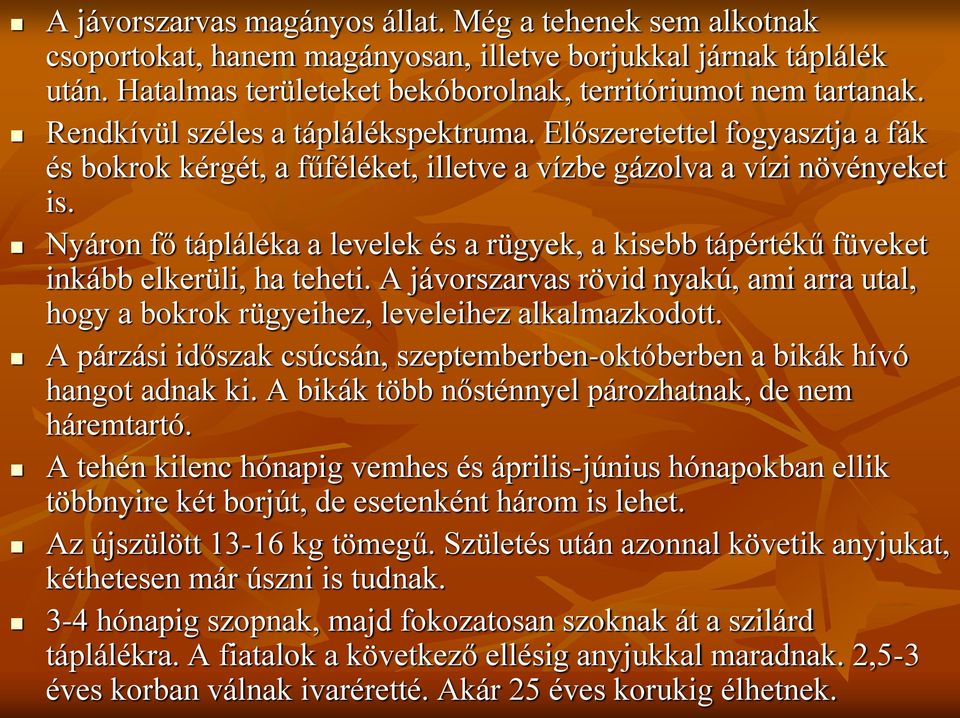 Nyáron fő tápláléka a levelek és a rügyek, a kisebb tápértékű füveket inkább elkerüli, ha teheti. A jávorszarvas rövid nyakú, ami arra utal, hogy a bokrok rügyeihez, leveleihez alkalmazkodott.