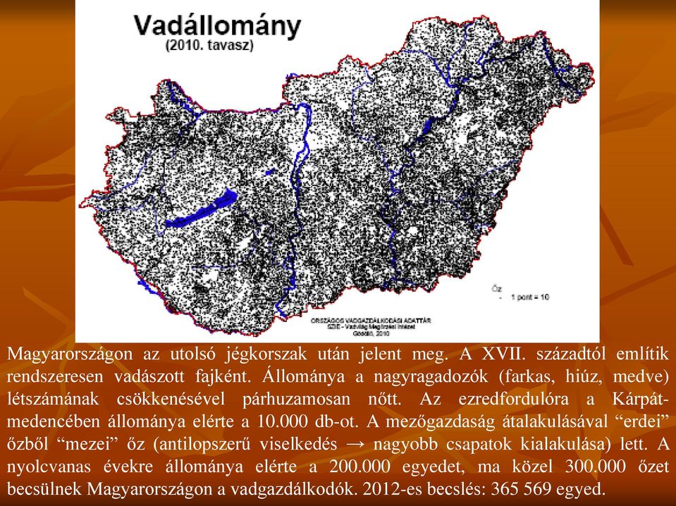 Az ezredfordulóra a Kárpátmedencében állománya elérte a 10.000 db-ot.