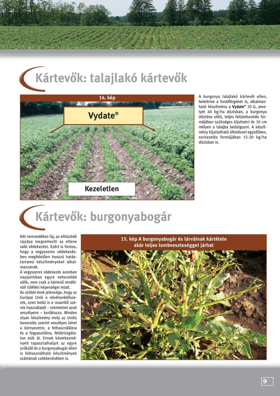 formájában szükséges kijuttatni és 10 cm mélyen a talajba bedolgozni. A készítmény kijuttatható ültetéssel egyidôben, sorkezelés formájában 15-20 kg/ha dózisban is.