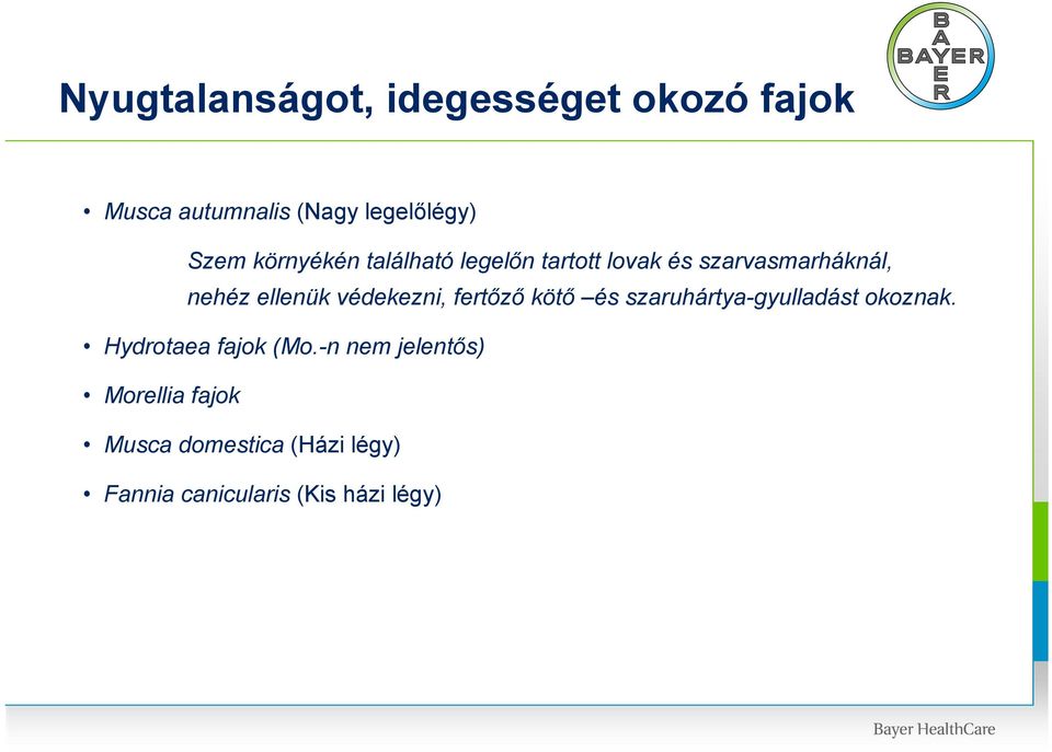 védekezni, fertőző kötő és szaruhártya-gyulladást okoznak. Hydrotaea fajok (Mo.