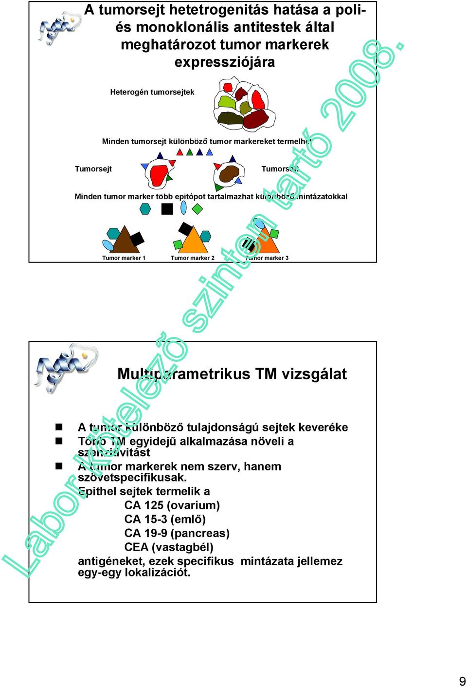 Multiparametrikus TM vizsgálat A tumor különbözı tulajdonságú sejtek keveréke Több TM egyidejő alkalmazása növeli a szenzitivitást A tumor markerek nem szerv, hanem