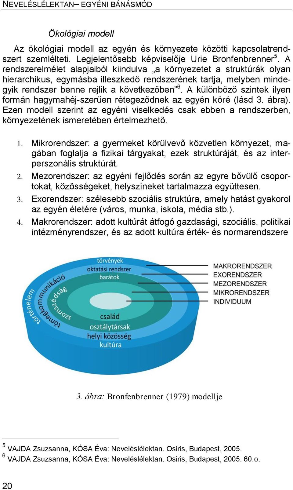 A különböző szintek ilyen formán hagymahéj-szerűen rétegeződnek az egyén köré (lásd 3. ábra). Ezen modell szerint az egyéni viselkedés csak ebben a rendszerben, környezetének ismeretében értelmezhető.