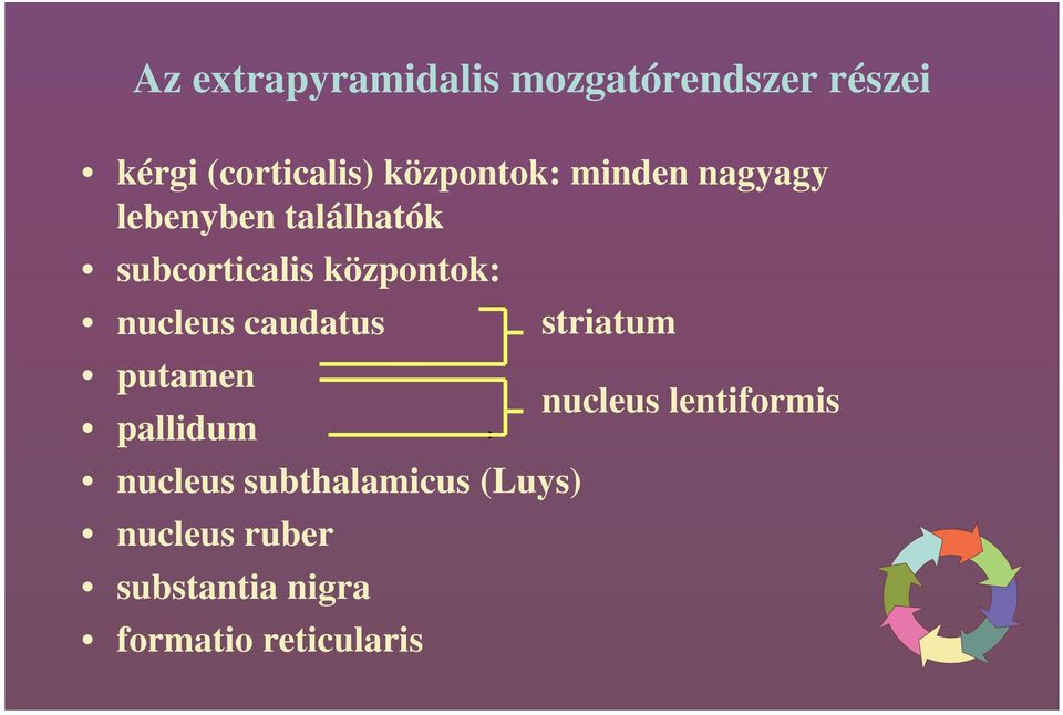 központok: nucleus caudatus putamen pallidum nucleus subthalamicus