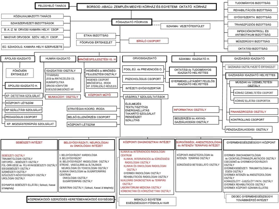 KAMARA HELYI SZERVEZETE ETIKAI BIZOTTSÁG FŐORVOSI ÉRTEKEZLET FŐIGAZGATÓ FŐORVOS BÍRÁLÓ CSOPORT SZAKMAI VEZETŐTESTÜLET TRANSZFÚZIÓS BIZOTTSÁG INFEKCIÓKONTROLL ÉS ANTIBIOTIKUM BIZOTTSÁG MŰSZERÜGYI