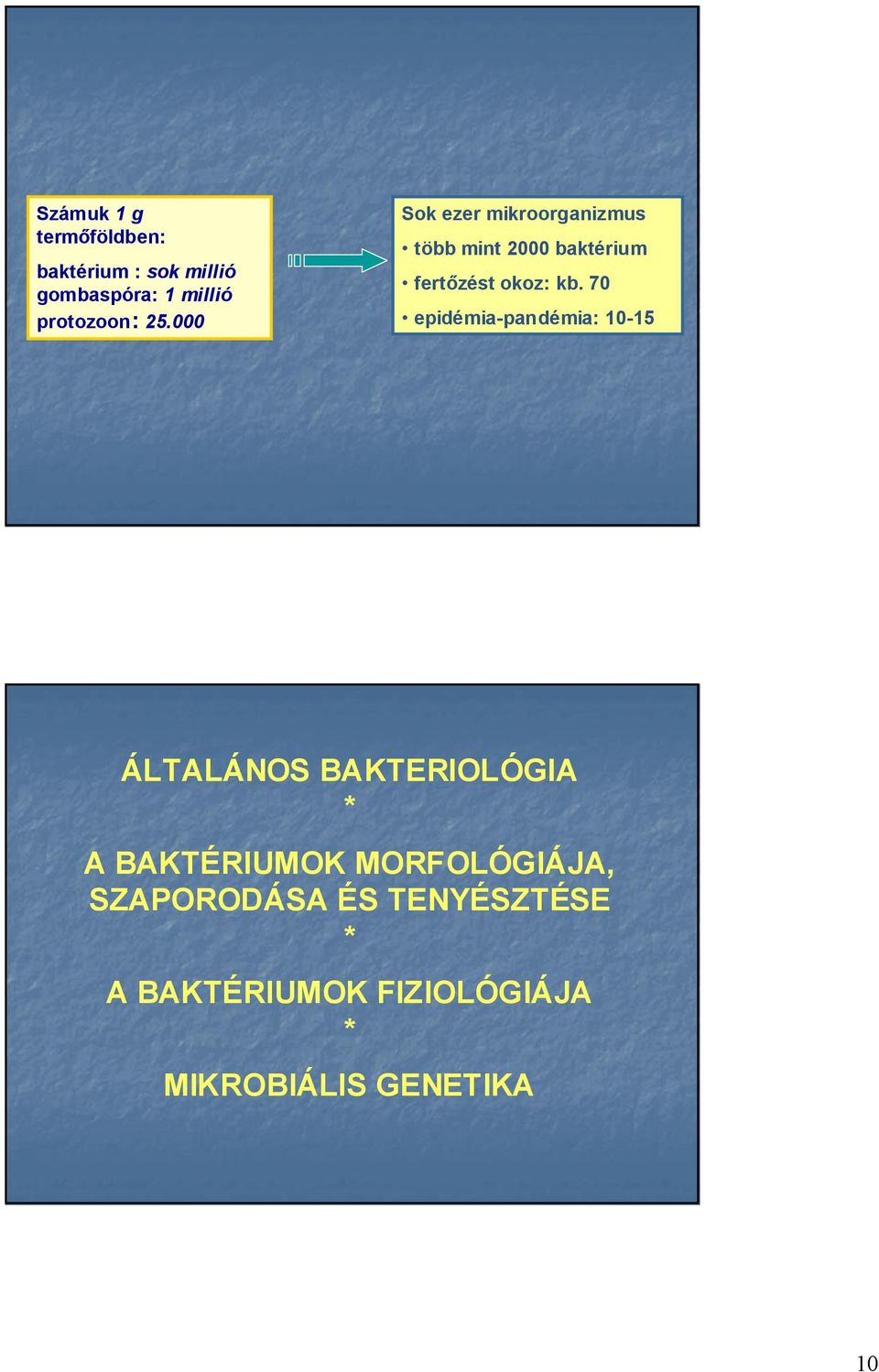 70 epidémia-pandémia: 10-15 ÁLTALÁNOS BAKTERIOLÓGIA * A BAKTÉRIUMOK