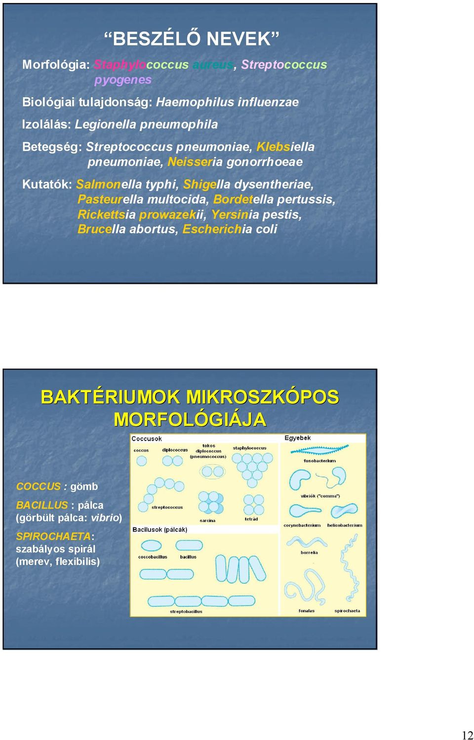 Shigella dysentheriae, Pasteurella multocida, Bordetella pertussis, Rickettsia prowazekii, Yersinia pestis, Brucella abortus, Escherichia