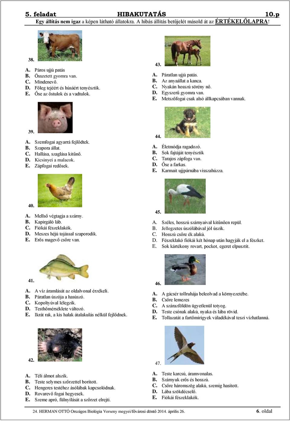 39. A. Szemfogai agyarrá fejlődtek. B. Szapora állat. C. Hallása, szaglása kitűnő. D. Kicsinyei a malacok. E. Zápfogai redősek. 44. A. Életmódja ragadozó. B. Sok fajtáját tenyésztik C.