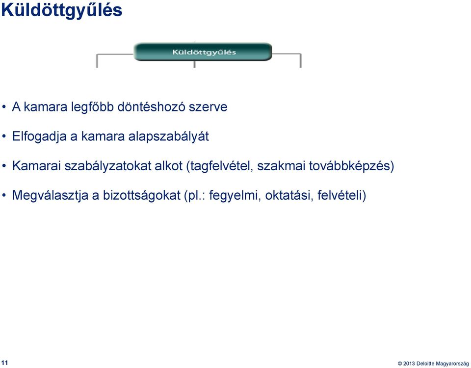 szabályzatokat alkot (tagfelvétel, szakmai