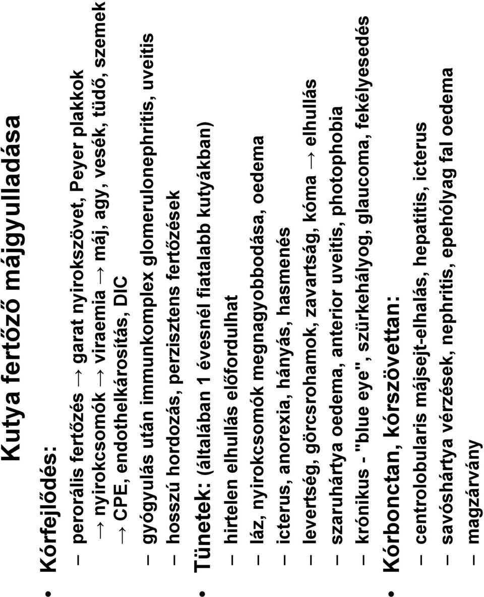 nyirokcsomók megnagyobbodása, oedema icterus, anorexia, hányás, hasmenés levertség, görcsrohamok, zavartság, kóma elhullás szaruhártya oedema, anterior uveitis, photophobia krónikus