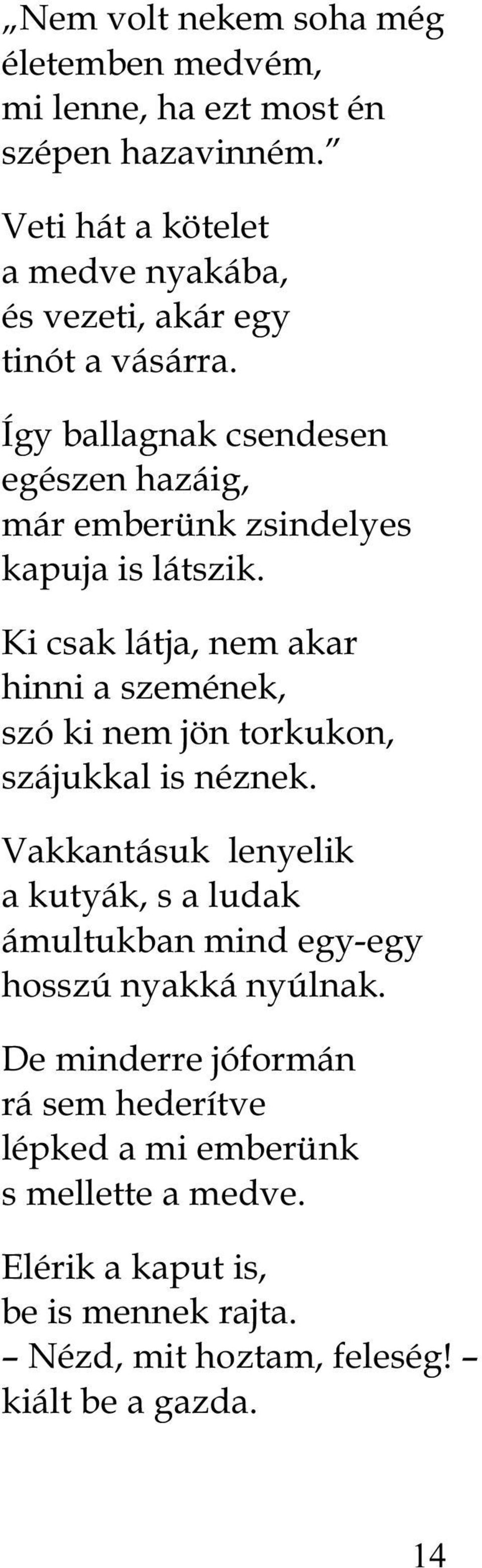 Így ballagnak csendesen egészen hazáig, már emberünk zsindelyes kapuja is látszik.