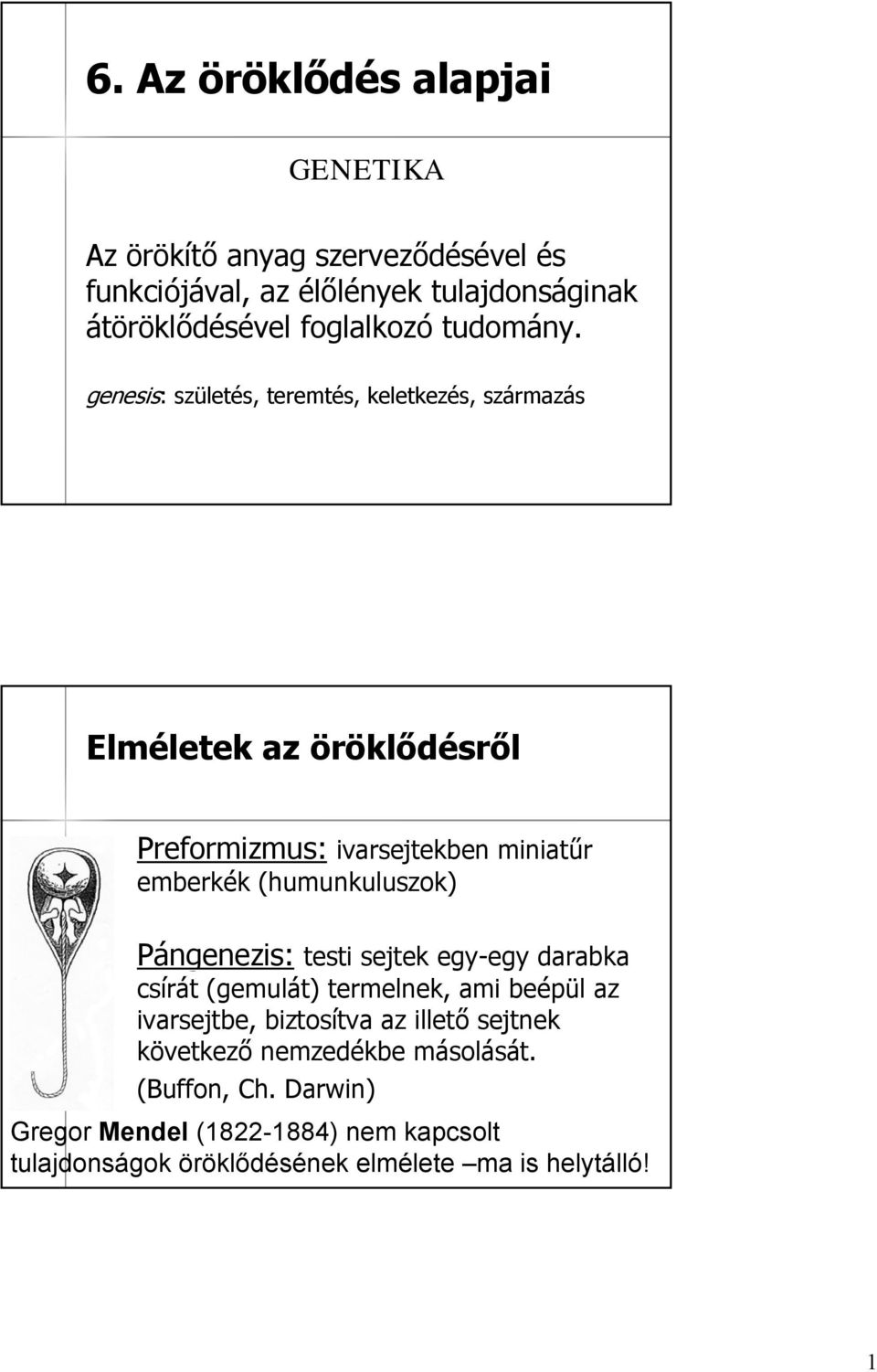 humunkuluszok) Pángenezis: testi sejtek egy-egy darabka csírát (gemulát( gemulát) ) termelnek, ami beépül az ivarsejtbe, biztosítva az illető