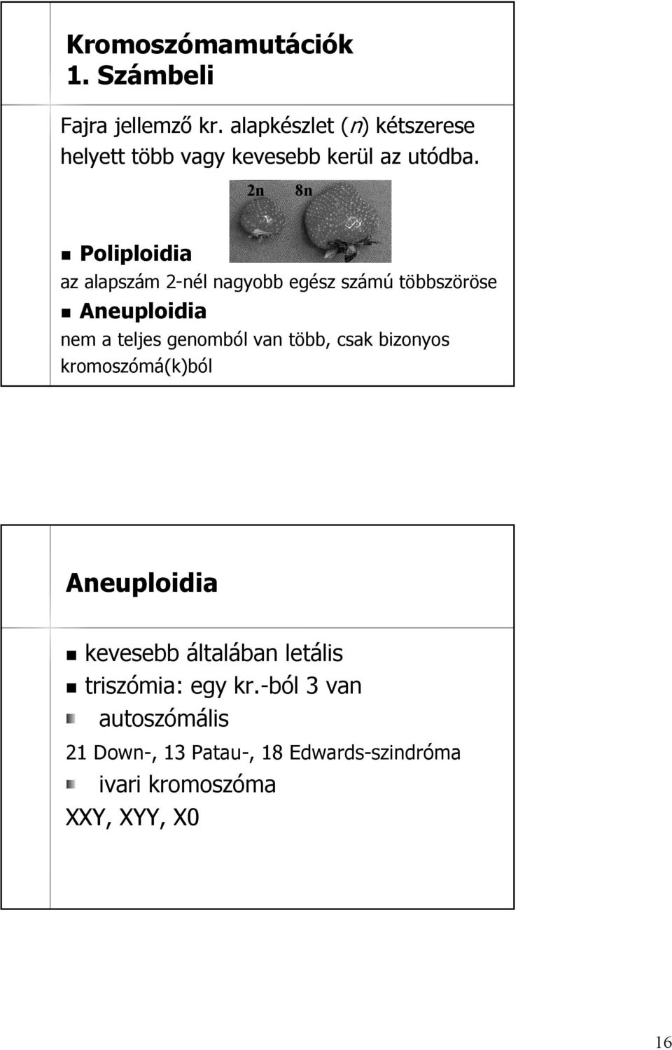 2n 8n Poliploidia az alapszám 2-nél 2 nagyobb egész számú többszöröse neuploidia nem a teljes genomból van
