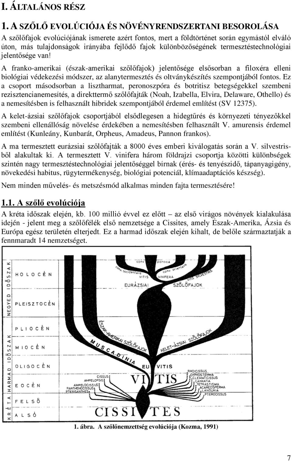 különbözőségének termesztéstechnológiai jelentősége van!