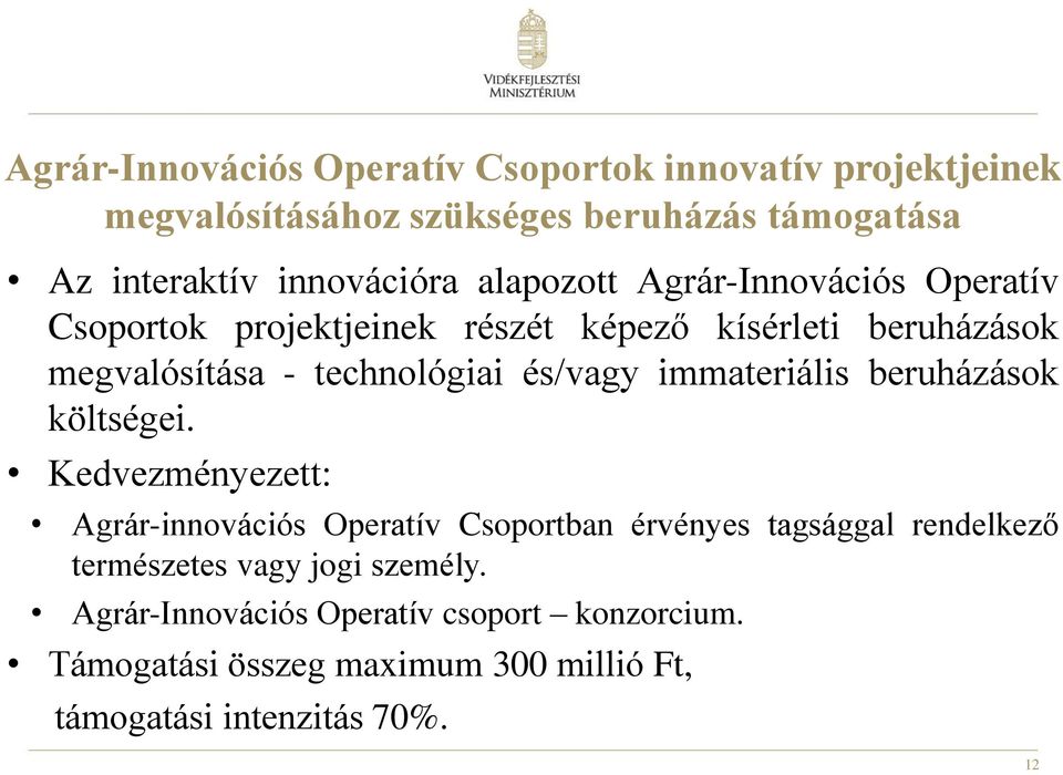 immateriális beruházások költségei.