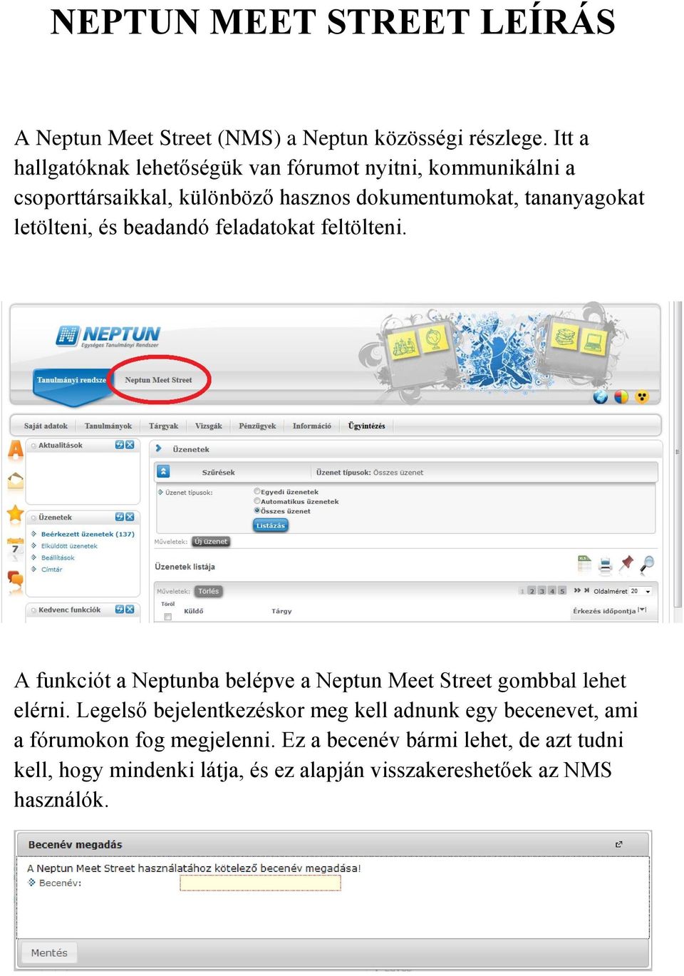 letölteni, és beadandó feladatokat feltölteni. A funkciót a Neptunba belépve a Neptun Meet Street gombbal lehet elérni.