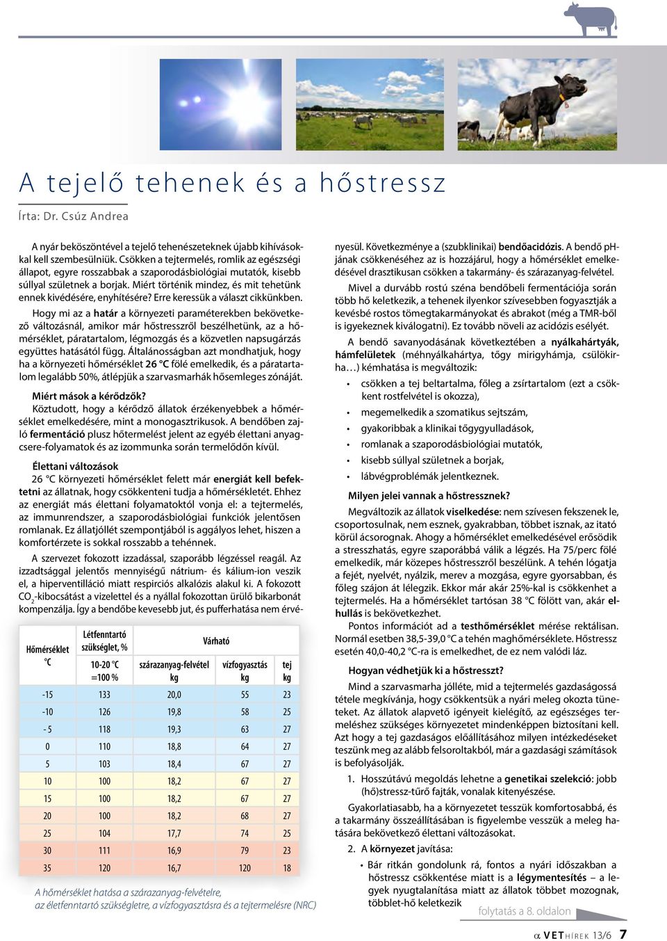 Miért történik mindez, és mit tehetünk ennek kivédésére, enyhítésére? Erre keressük a választ cikkünkben.