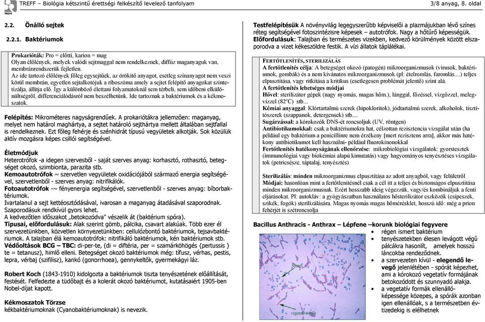 Az ide tartozó élőlények főleg egysejtűek, az örökítő anyagot, esetleg színanyagot nem veszi körül membrán, egyetlen sejtalkotójuk a riboszóma amely a sejtet felépítő anyagokat szintetizálja, állítja