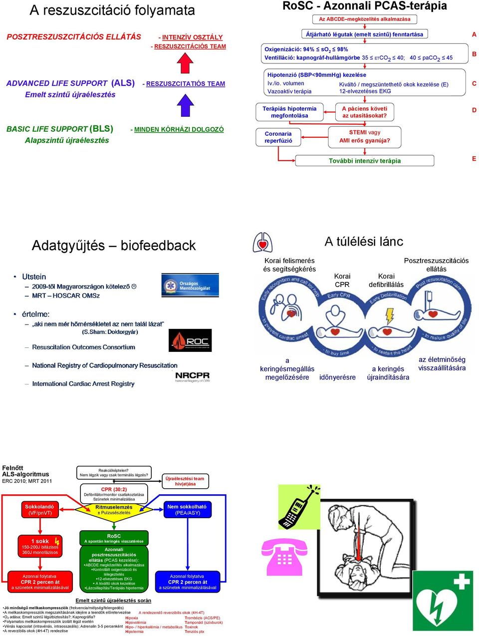 (SBP<90mmHg) kezelése Iv./io. volumen Vazoaktív terápia Kiváltó / megszüntethető okok kezelése (E) 12-elvezetéses EKG C Terápiás hipotermia megfontolása A páciens követi az utasításokat?