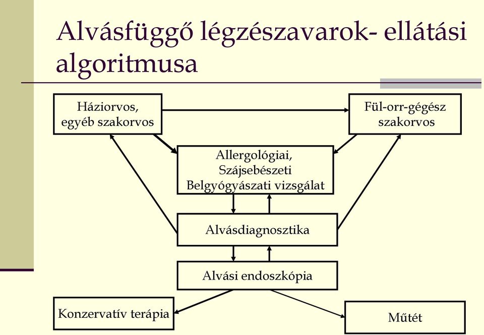 Allergológiai, Szájsebészeti Belgyógyászati vizsgálat