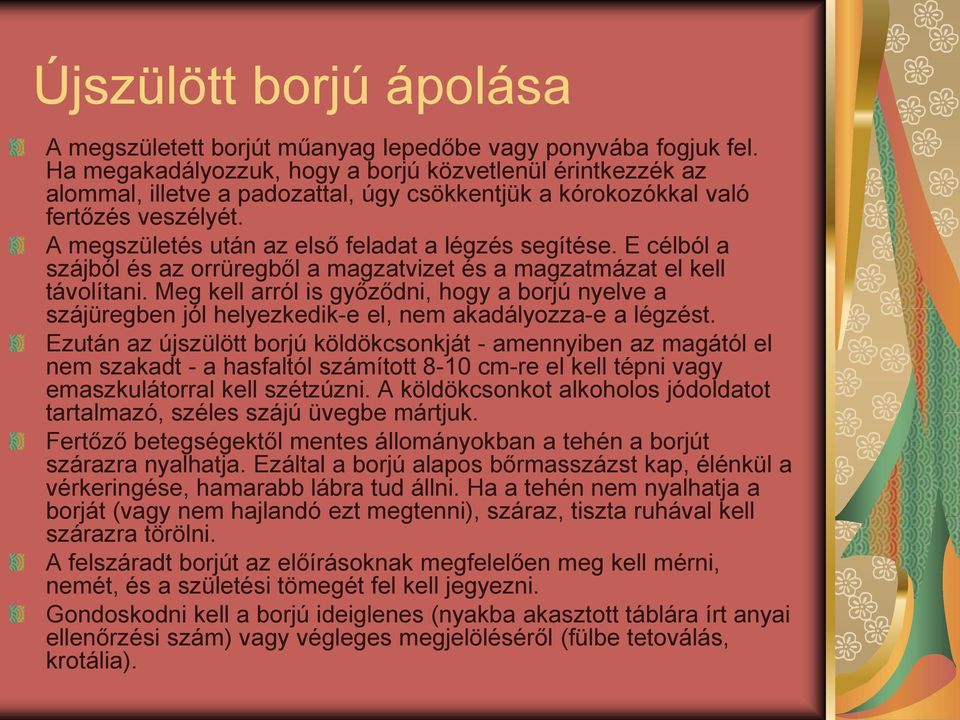 E célból a szájból és az orrüregből a magzatvizet és a magzatmázat el kell távolítani. Meg kell arról is győződni, hogy a borjú nyelve a szájüregben jól helyezkedik-e el, nem akadályozza-e a légzést.