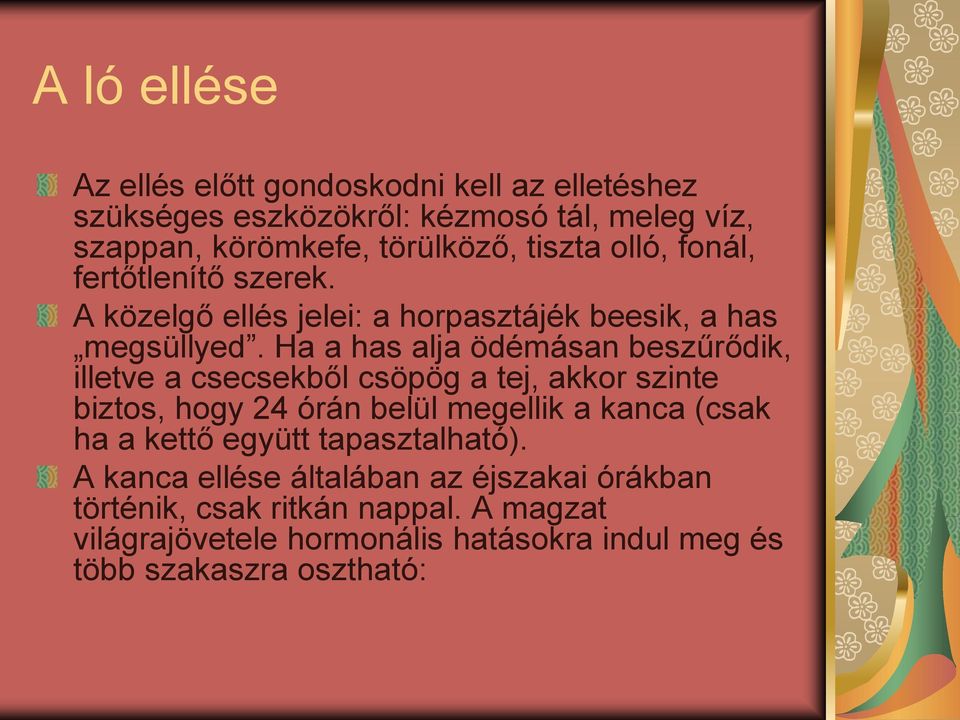 Ha a has alja ödémásan beszűrődik, illetve a csecsekből csöpög a tej, akkor szinte biztos, hogy 24 órán belül megellik a kanca (csak ha a