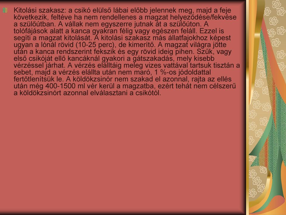 A magzat világra jötte után a kanca rendszerint fekszik és egy rövid ideig pihen. Szűk, vagy első csikóját ellő kancáknál gyakori a gátszakadás, mely kisebb vérzéssel járhat.