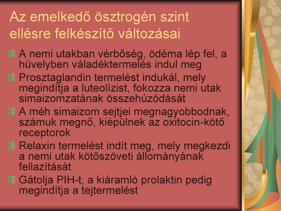 méh simaizom sejtjei megnagyobbodnak, számuk megnő, kiépülnek az oxitocin-kötő receptorok Relaxin termelést indít meg, mely