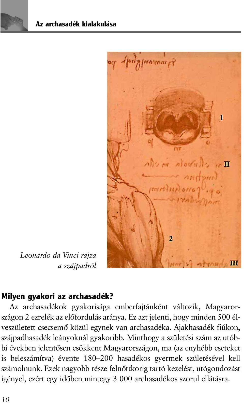 Ez azt jelenti, hogy minden 500 élveszületett csecsemõ közül egynek van archasadéka. Ajakhasadék fiúkon, szájpadhasadék leányoknál gyakoribb.