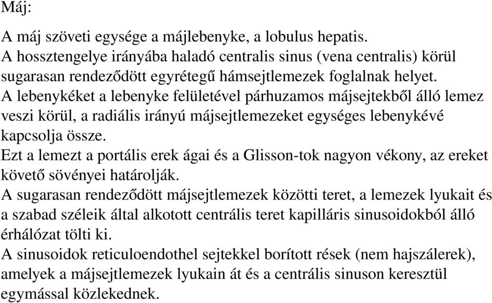 Ezt a lemezt a portális erek ágai és a Glisson-tok nagyon vékony, az ereket követő sövényei határolják.