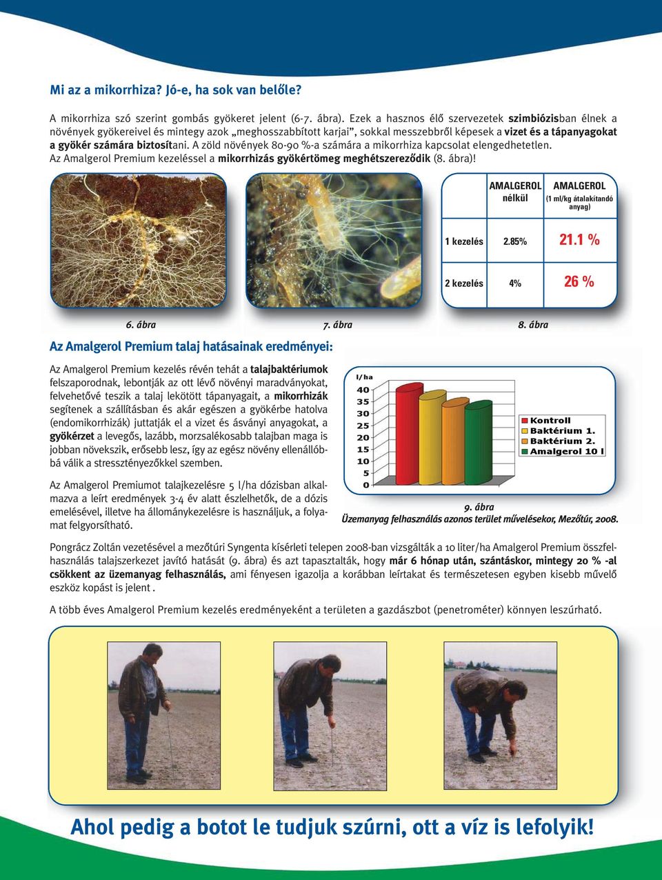 A zöld növények 80-90 %-a számára a mikorrhiza kapcsolat elengedhetetlen. Az Amalgerol Premium kezeléssel a mikorrhizás gyökértömeg meghétszerezôdik (8. ábra)!