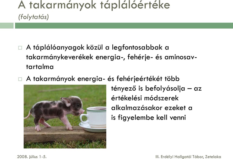 aminosavtartalma A takarmányok energia- és fehérjeértékét több tényező is