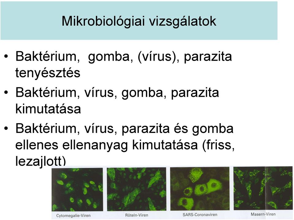 gomba, parazita kimutatása Baktérium, vírus,