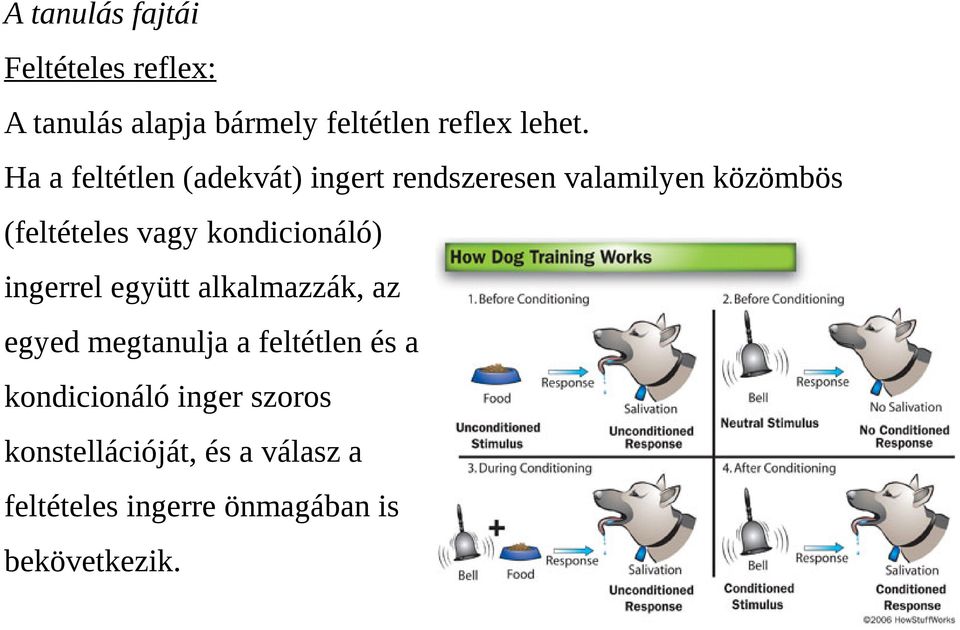 kondicionáló) ingerrel együtt alkalmazzák, az egyed megtanulja a feltétlen és a