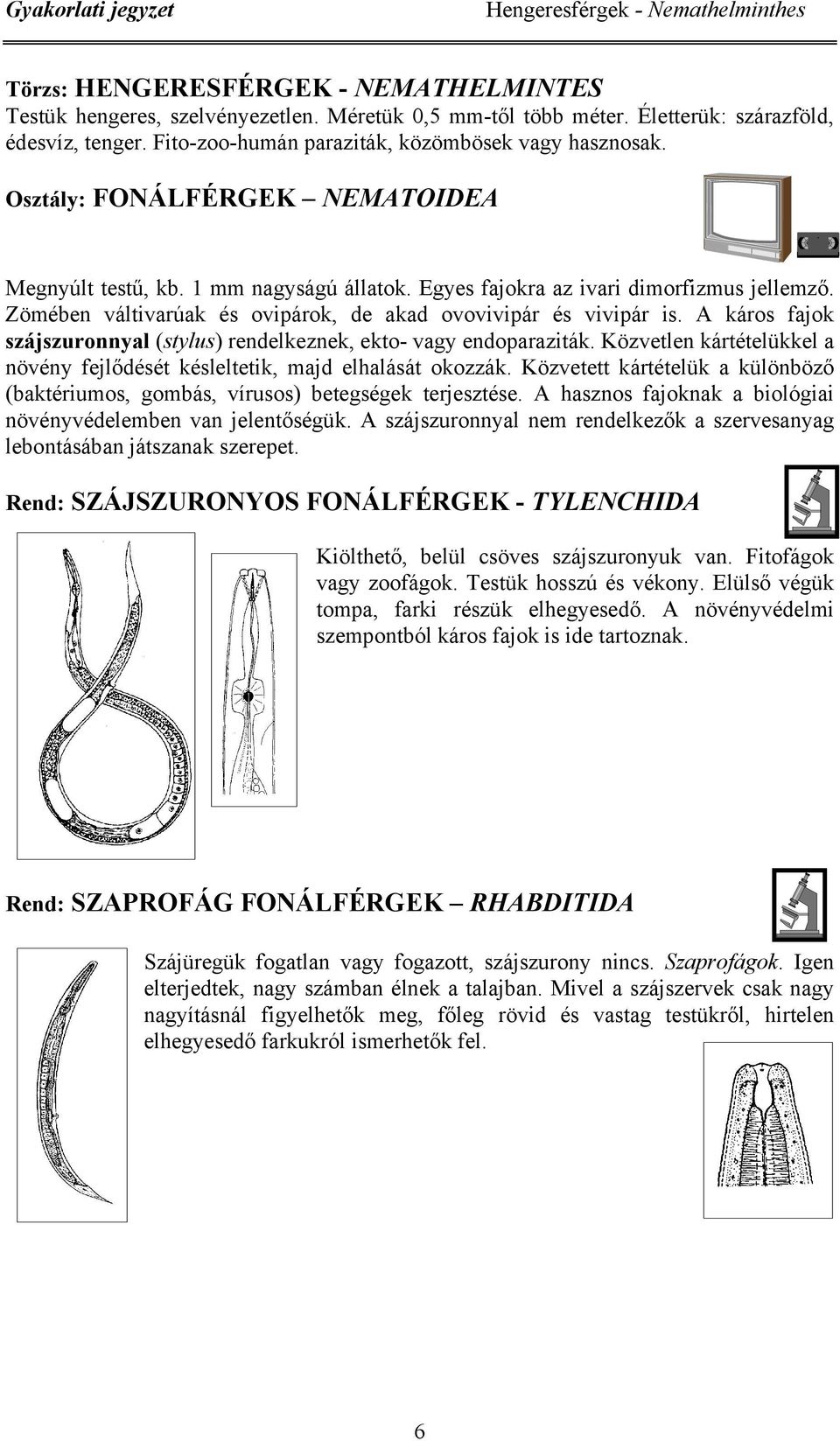 Zömében váltivarúak és ovipárok, de akad ovovivipár és vivipár is. A káros fajok szájszuronnyal (stylus) rendelkeznek, ekto- vagy endoparaziták.